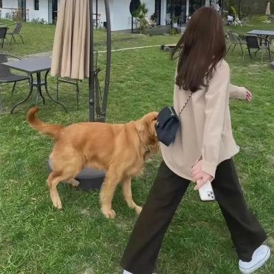 有生于无:说唱的艺术